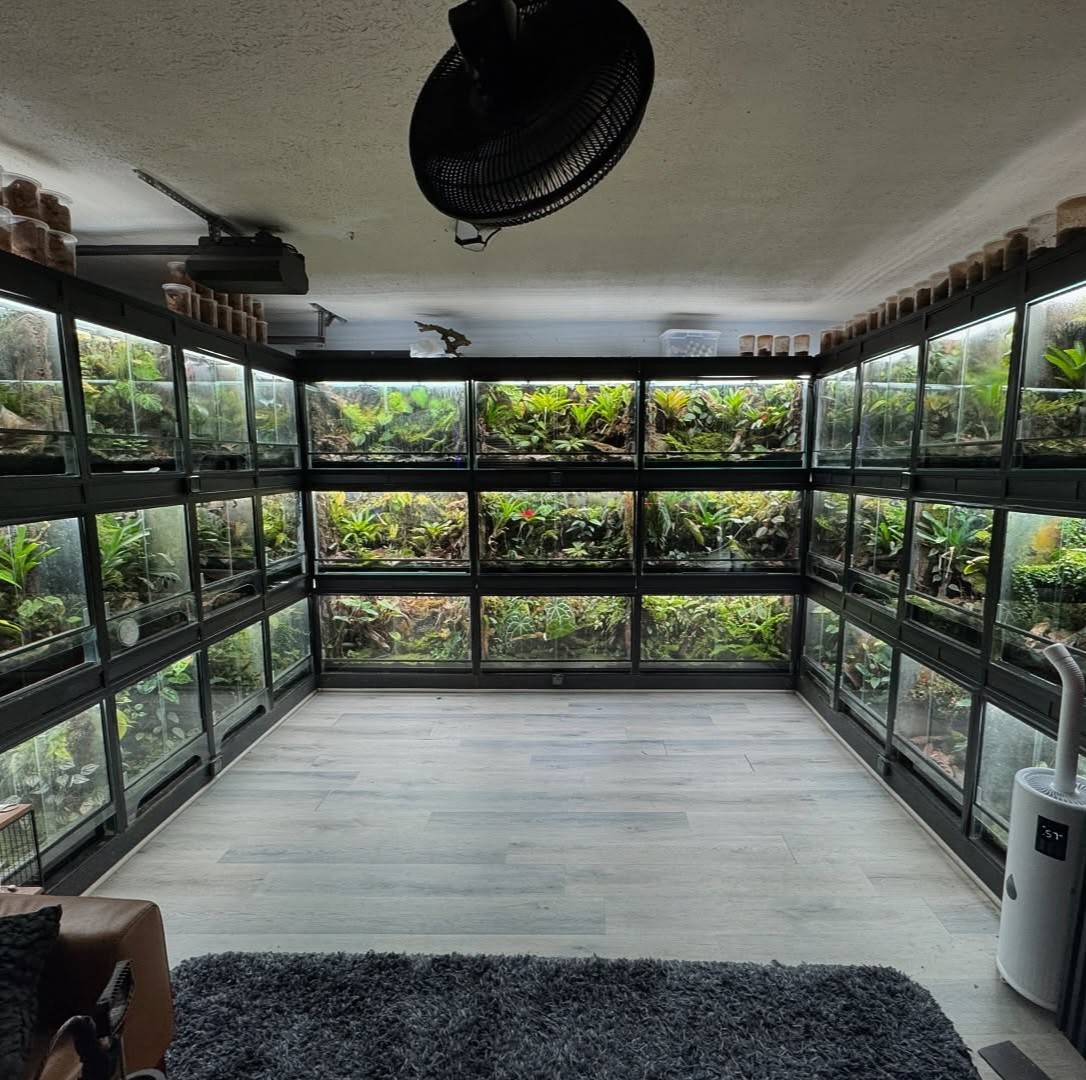 A dedicated room lined with planted vivariums