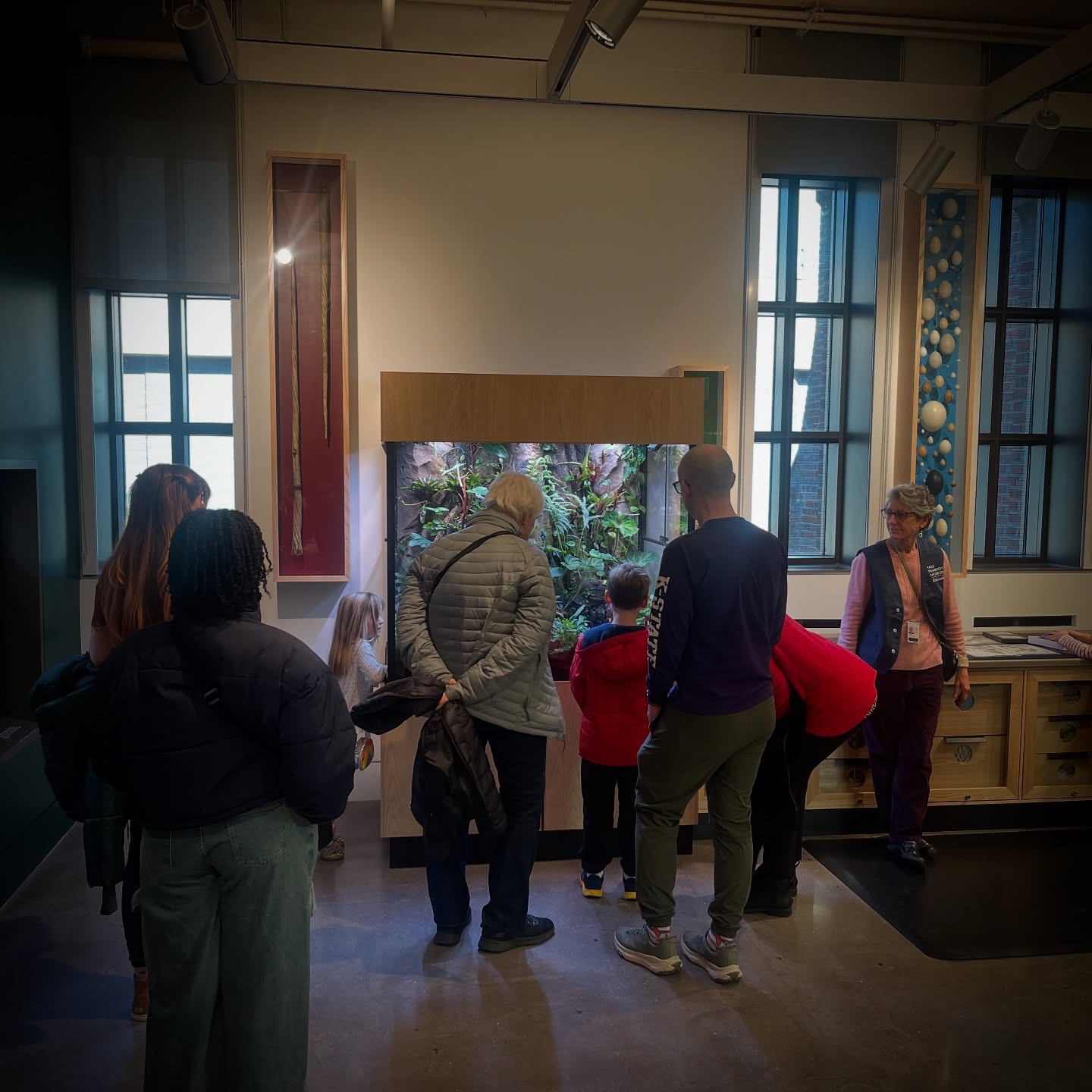 Visitors viewing a planted vivarium at a public exhibit