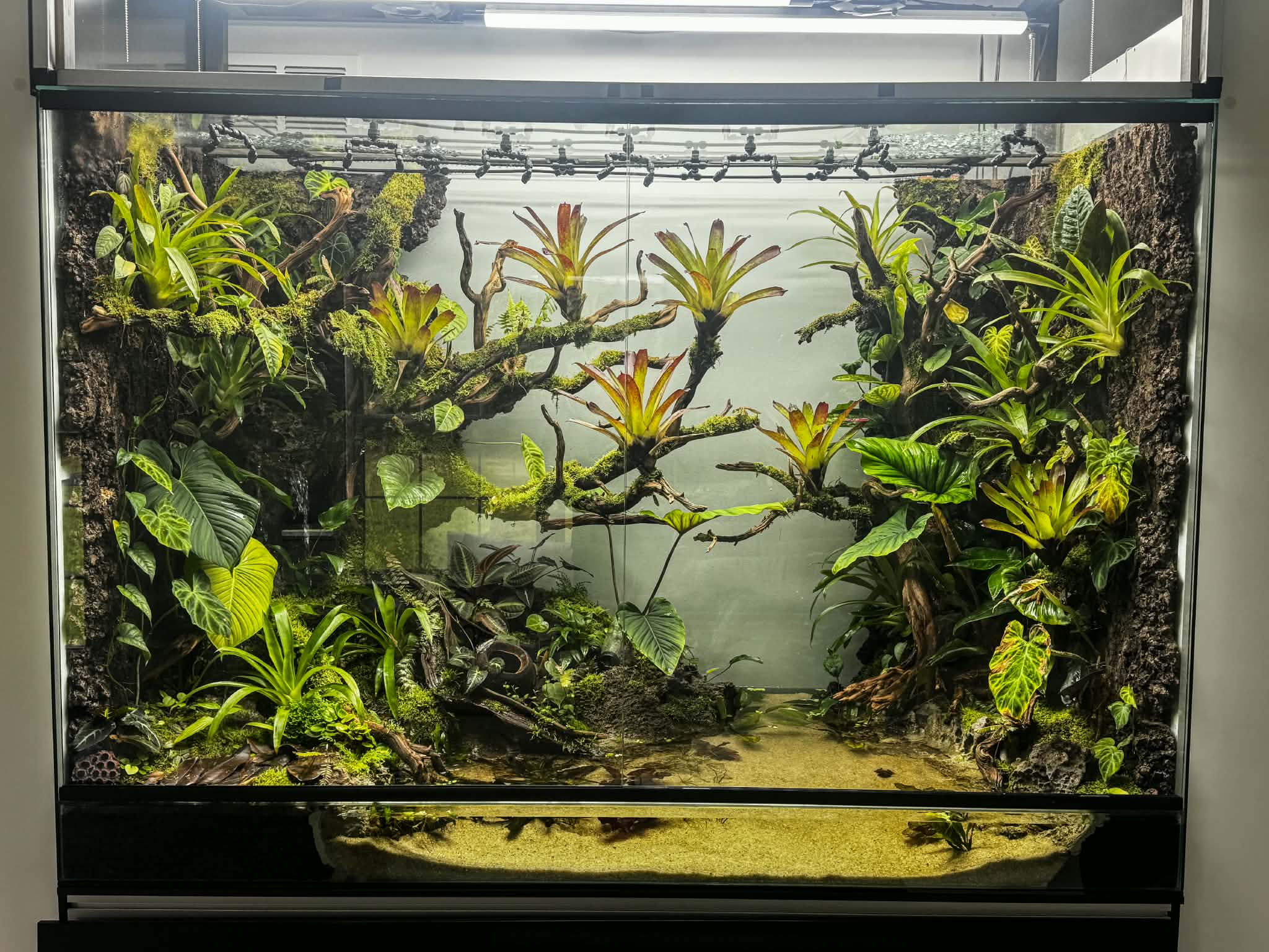 A multi-enclosure collection misted by a MistKing Ultimate system
